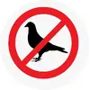 Odstraszacze ptaków