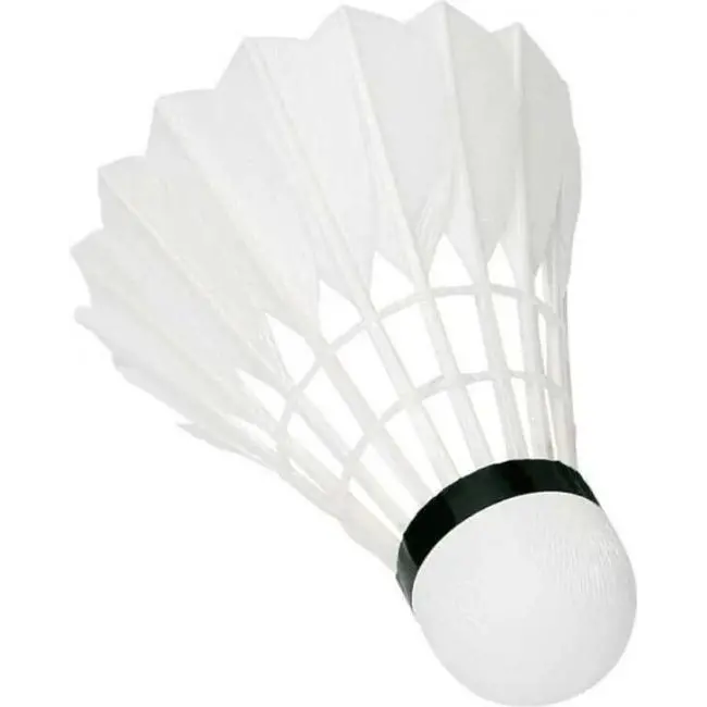 12 piłek Badminton Rakiety sportowe do badmintona Summer Beach Plastikowa tuba